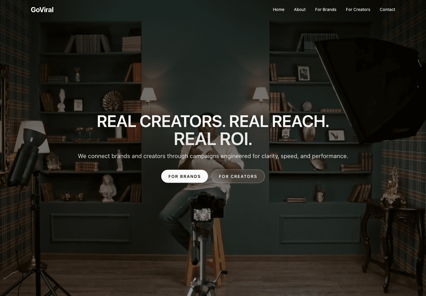 GoViral Campaigns website preview